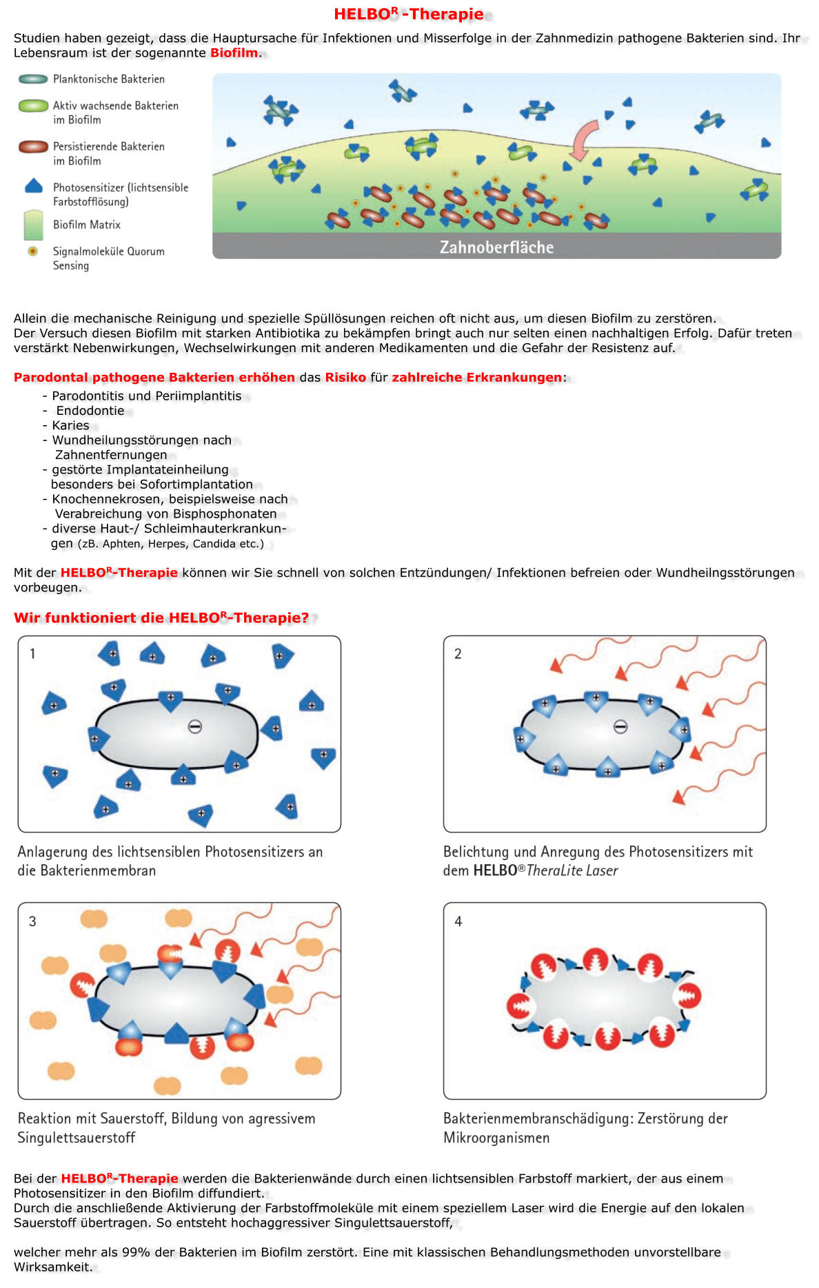 HELBOR -Therapie Studien haben gezeigt, dass die Hauptursache für Infektionen und Misserfolge in der Zahnmedizin pathogene Bakterien sind. Ihr Lebensraum ist der sogenannte Biofilm.                 Allein die mechanische Reinigung und spezielle Spüllösungen reichen oft nicht aus, um diesen Biofilm zu zerstören. Der Versuch diesen Biofilm mit starken Antibiotika zu bekämpfen bringt auch nur selten einen nachhaltigen Erfolg. Dafür treten verstärkt Nebenwirkungen, Wechselwirkungen mit anderen Medikamenten und die Gefahr der Resistenz auf.  Parodontal pathogene Bakterien erhöhen das Risiko für zahlreiche Erkrankungen: - Parodontitis und Periimplantitis -  Endodontie - Karies - Wundheilungsstörungen nach       Zahnentfernungen - gestörte Implantateinheilung   besonders bei Sofortimplantation - Knochennekrosen, beispielsweise nach    Verabreichung von Bisphosphonaten - diverse Haut-/ Schleimhauterkrankun-  gen (zB. Aphten, Herpes, Candida etc.)  Mit der HELBOR-Therapie können wir Sie schnell von solchen Entzündungen/ Infektionen befreien oder Wundheilngsstörungen vorbeugen.  Wir funktioniert die HELBOR-Therapie?                                      Bei der HELBOR-Therapie werden die Bakterienwände durch einen lichtsensiblen Farbstoff markiert, der aus einem Photosensitizer in den Biofilm diffundiert. Durch die anschließende Aktivierung der Farbstoffmoleküle mit einem speziellem Laser wird die Energie auf den lokalen Sauerstoff übertragen. So entsteht hochaggressiver Singulettsauerstoff,   welcher mehr als 99% der Bakterien im Biofilm zerstört. Eine mit klassischen Behandlungsmethoden unvorstellbare Wirksamkeit.